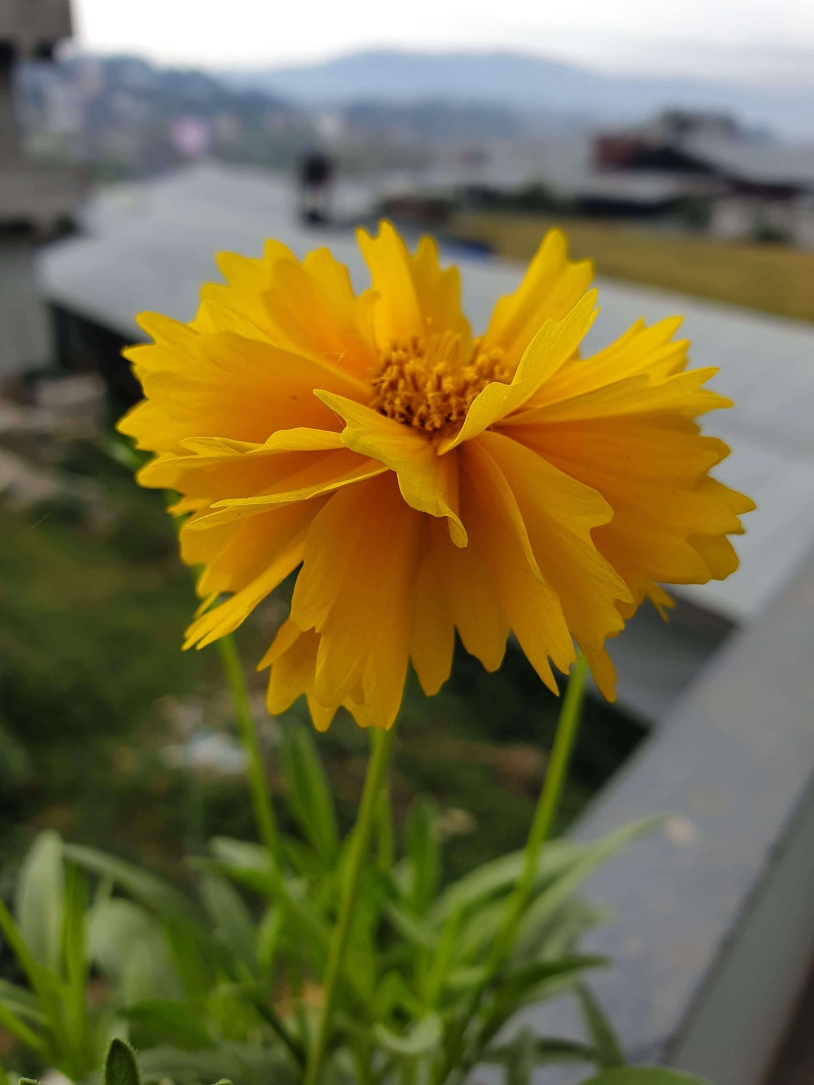 https://youtechnepal.com/wp-content/uploads/2019/09/20190512_071557-e1567359940284.jpg