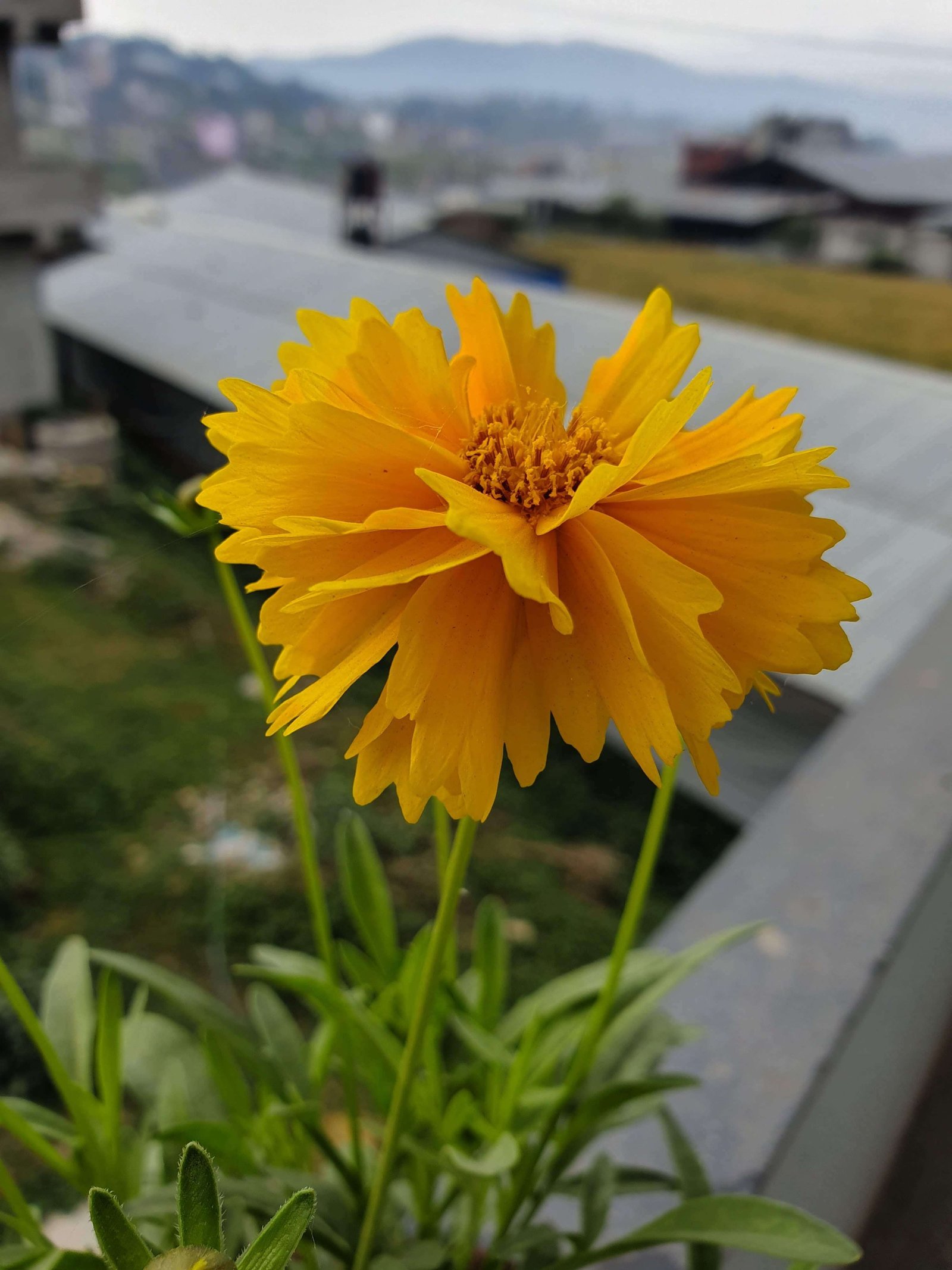 https://youtechnepal.com/wp-content/uploads/2019/09/20190512_071603-e1567359834500.jpg